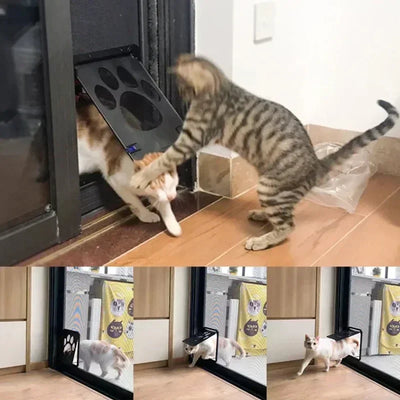 Aviour lockable pet door for windows shown with cats using the door to enter and exit through a window