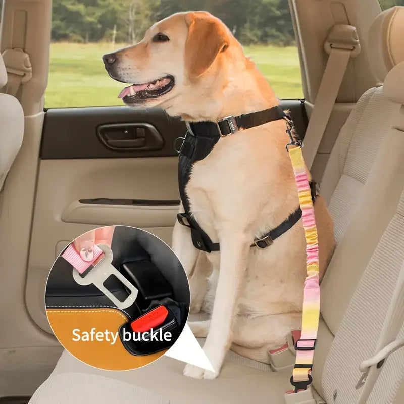 Aviour pet seat belt with lead rope attached to a dog harness and car safety buckle securing a dog in car seat