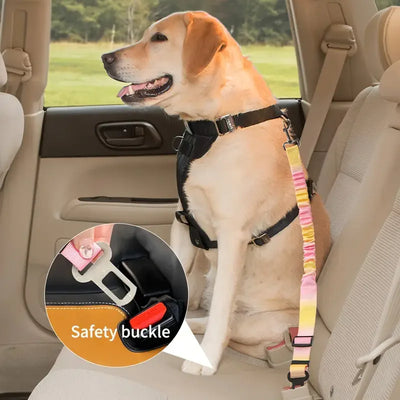 Aviour pet seat belt with lead rope attached to a dog harness and car safety buckle securing a dog in car seat
