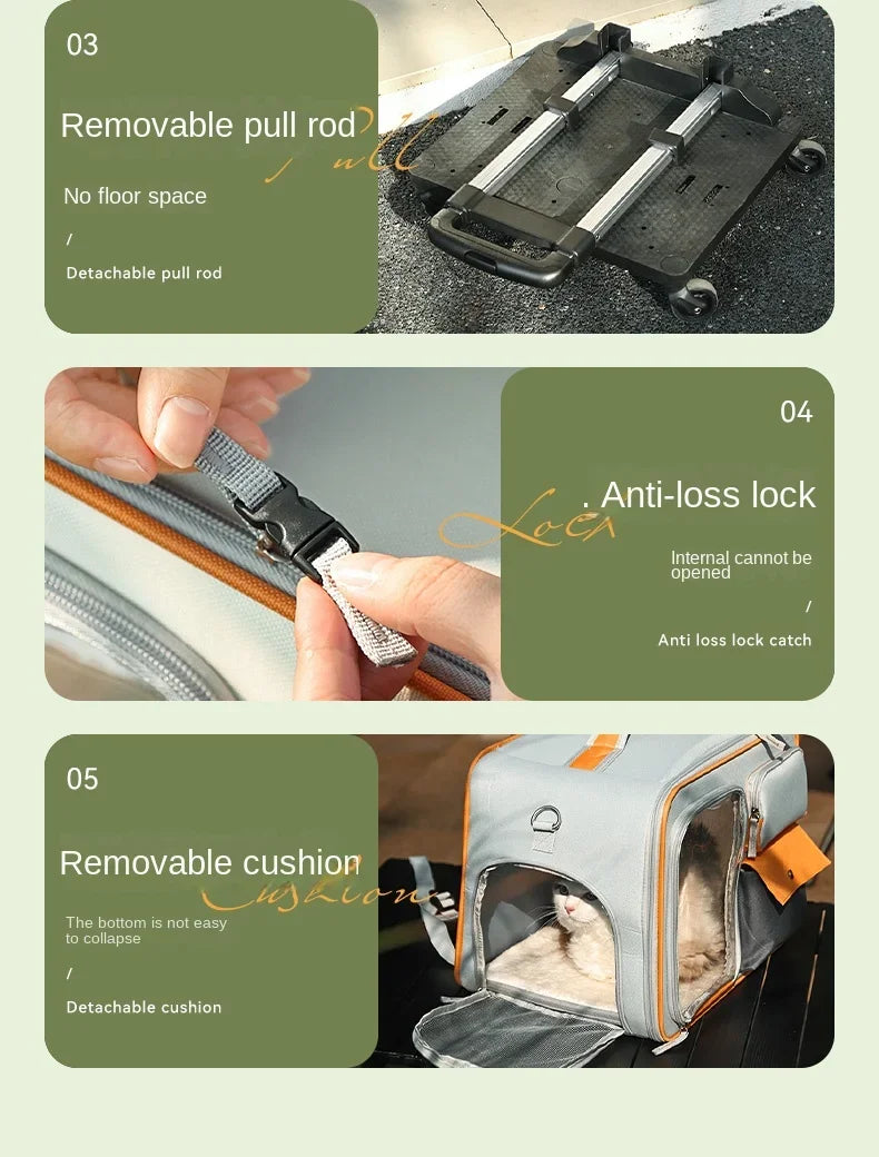 Aviour portable cat carrier on wheels with removable pull rod, anti-loss lock, and detachable cushion