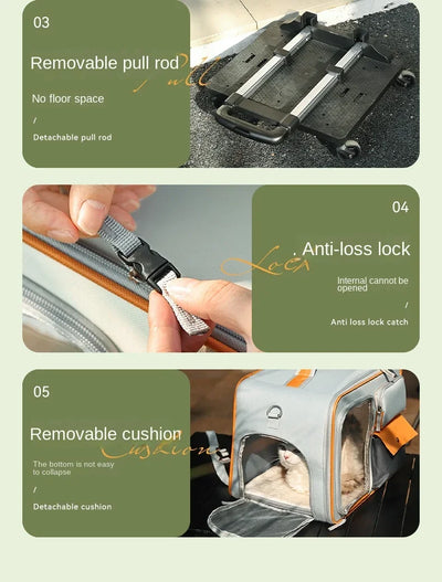 Aviour portable cat carrier on wheels with removable pull rod, anti-loss lock, and detachable cushion