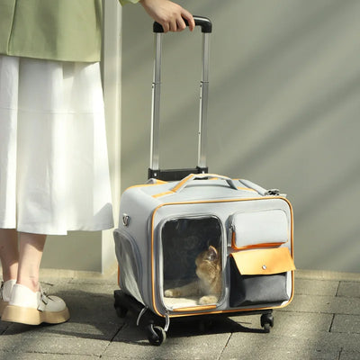 Aviour portable cat carrier on wheels with retractable handle and side storage pockets, featuring a cat inside