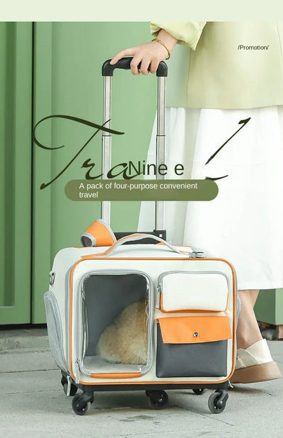 Aviour portable cat carrier on wheels with spacious compartments and retractable handle for easy travel
