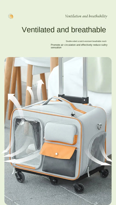 Aviour portable cat carrier on wheels with ventilation mesh panels and multiple pockets