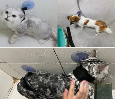 Aviour pet shower restraint collar securing cats and a dog with suction cup for hands-free washing