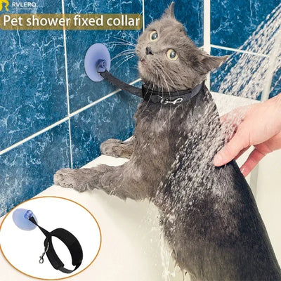 A cat secured with Aviour pet shower restraint collar attached to blue tiled wall during a bath