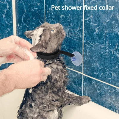 Gray cat wearing Aviour pet shower restraint collar secured with suction cup during bath