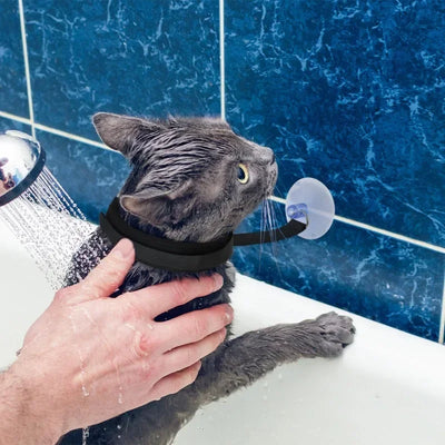 Gray cat wearing Aviour pet shower restraint collar held by hand during bath with blue tiled wall background