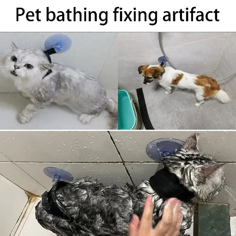 Aviour pet shower restraint collar shown securing cats and dog during bathing with suction cup attachment